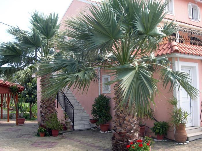 Katerina Studios Svoronata Exterior foto